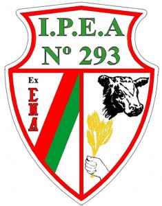 Logo I.P.E.A. N° 293